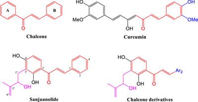 Structural modification and antibacterial property studies of natural chalcone sanjuanolide